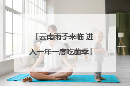 云南雨季来临 进入一年一度吃菌季
