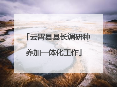 云霄县县长调研种养加一体化工作