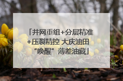 井网重组+分层精准+压裂精控 大庆油田“唤醒”薄差油藏