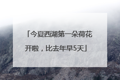 今夏西湖第一朵荷花开啦，比去年早5天