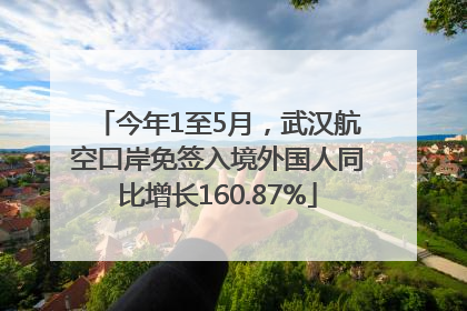 今年1至5月，武汉航空口岸免签入境外国人同比增长160.87%