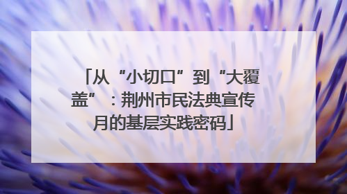 从“小切口”到“大覆盖”：荆州市民法典宣传月的基层实践密码