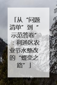 从“问题清单”到“示范答卷”：利通区农业节水整改的“蝶变之路”