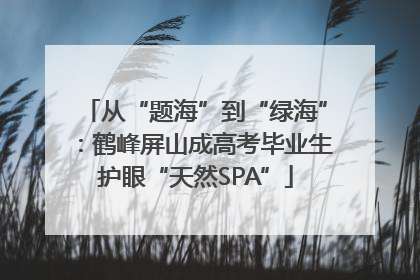 从“题海”到“绿海”：鹤峰屏山成高考毕业生护眼“天然SPA”