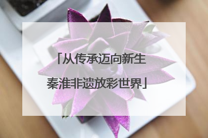 从传承迈向新生 秦淮非遗放彩世界
