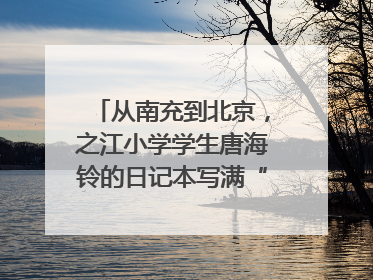 从南充到北京，之江小学学生唐海铃的日记本写满“梦想”和“世界”｜您牵挂的四川