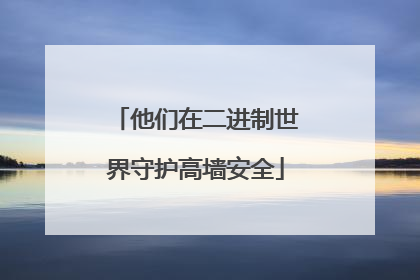 他们在二进制世界守护高墙安全
