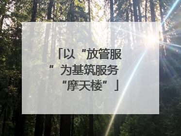 以“放管服”为基筑服务“摩天楼”