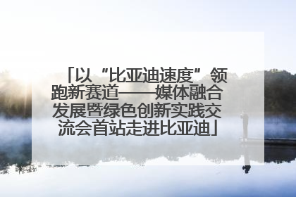 以“比亚迪速度”领跑新赛道——媒体融合发展暨绿色创新实践交流会首站走进比亚迪