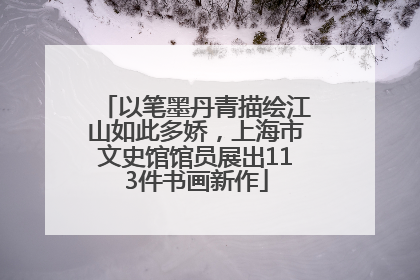 以笔墨丹青描绘江山如此多娇，上海市文史馆馆员展出113件书画新作