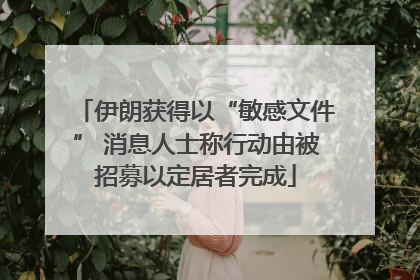 伊朗获得以“敏感文件” 消息人士称行动由被招募以定居者完成