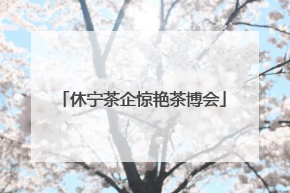 休宁茶企惊艳茶博会