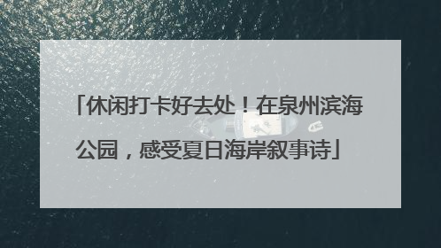 休闲打卡好去处！在泉州滨海公园，感受夏日海岸叙事诗