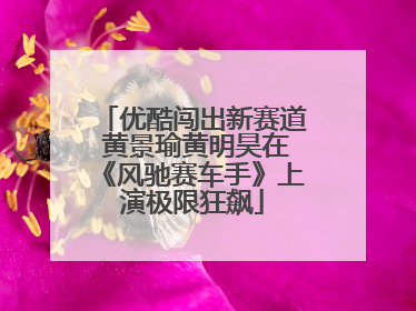 优酷闯出新赛道 黄景瑜黄明昊在《风驰赛车手》上演极限狂飙