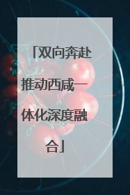 双向奔赴推动西咸一体化深度融合