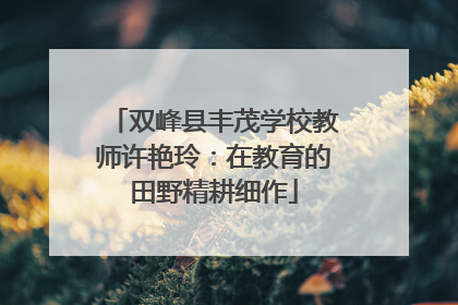 双峰县丰茂学校教师许艳玲：在教育的田野精耕细作