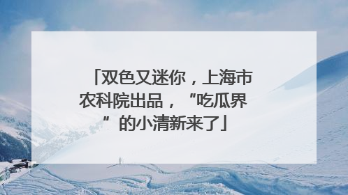 双色又迷你，上海市农科院出品，“吃瓜界”的小清新来了