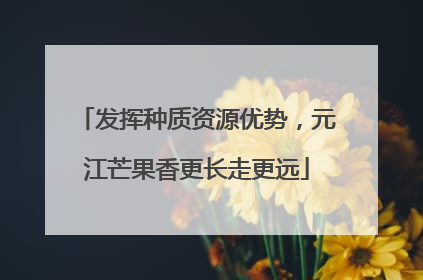 发挥种质资源优势，元江芒果香更长走更远