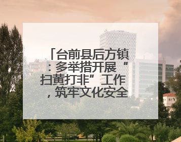 台前县后方镇：多举措开展“扫黄打非”工作，筑牢文化安全防线