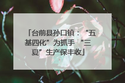 台前县孙口镇：“五基四化”为抓手 “三夏”生产保丰收