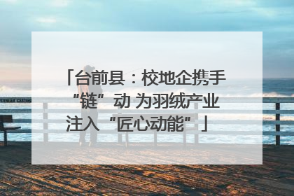 台前县：校地企携手“链”动 为羽绒产业注入“匠心动能”
