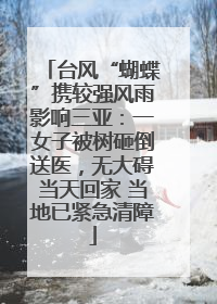 台风“蝴蝶”携较强风雨影响三亚：一女子被树砸倒送医，无大碍当天回家 当地已紧急清障