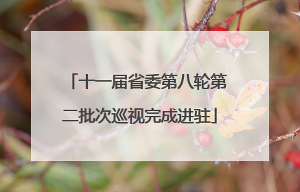 十一届省委第八轮第二批次巡视完成进驻