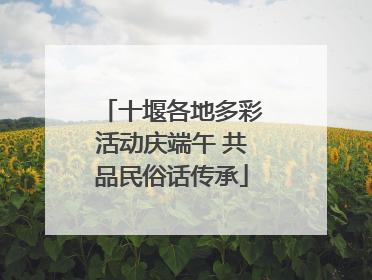 十堰各地多彩活动庆端午 共品民俗话传承