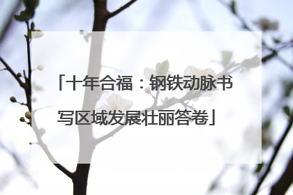 十年合福：钢铁动脉书写区域发展壮丽答卷