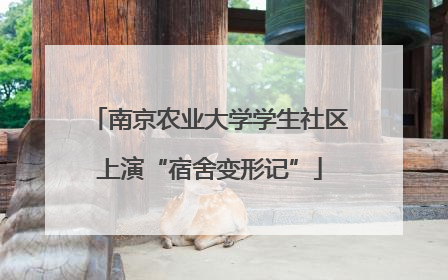 南京农业大学学生社区上演“宿舍变形记”
