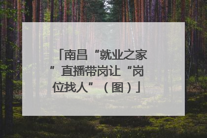 南昌“就业之家”直播带岗让“岗位找人”（图）