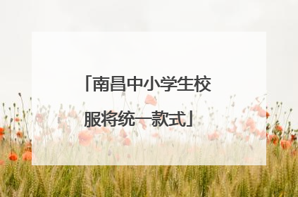 南昌中小学生校服将统一款式