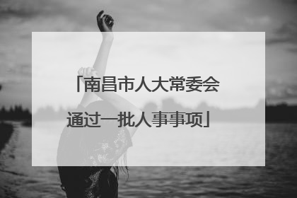 南昌市人大常委会通过一批人事事项