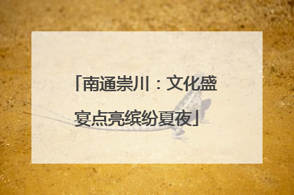 南通崇川：文化盛宴点亮缤纷夏夜