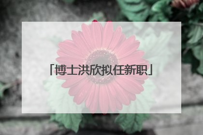 博士洪欣拟任新职