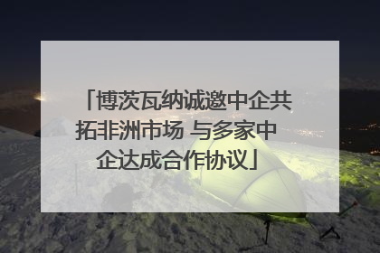 博茨瓦纳诚邀中企共拓非洲市场 与多家中企达成合作协议
