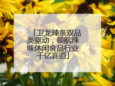 卫龙辣条双品类驱动，领航辣味休闲食品行业千亿赛道