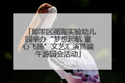 即墨区潮海实验幼儿园举办“梦想起航 童心飞扬”文艺汇演暨端午游园会活动