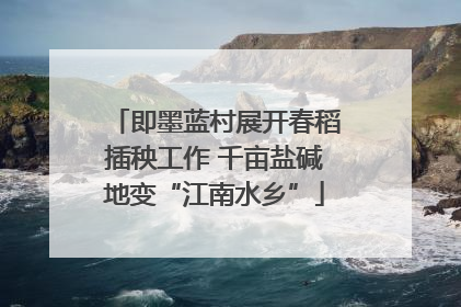即墨蓝村展开春稻插秧工作 千亩盐碱地变“江南水乡”