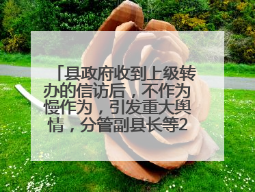县政府收到上级转办的信访后，不作为慢作为，引发重大舆情，分管副县长等25人被处理
