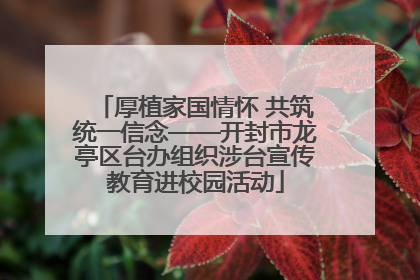 厚植家国情怀 共筑统一信念——开封市龙亭区台办组织涉台宣传教育进校园活动