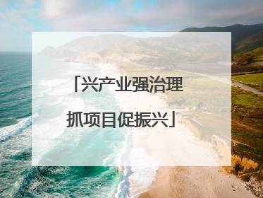 兴产业强治理 抓项目促振兴