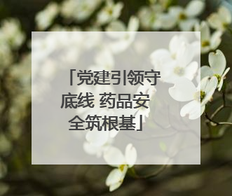 党建引领守底线 药品安全筑根基