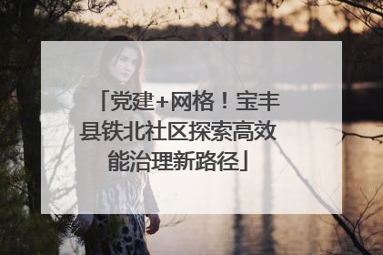 党建+网格！宝丰县铁北社区探索高效能治理新路径