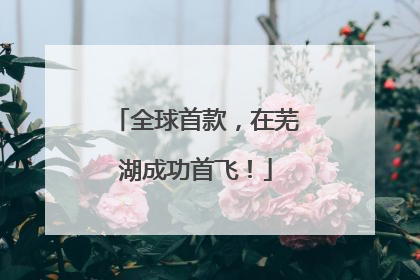 全球首款，在芜湖成功首飞！