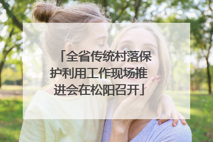 全省传统村落保护利用工作现场推进会在松阳召开