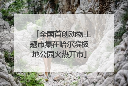 全国首创动物主题市集在哈尔滨极地公园火热开市