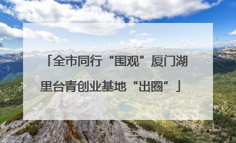 全市同行“围观”厦门湖里台青创业基地“出圈”