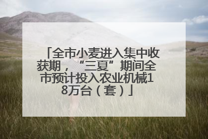 全市小麦进入集中收获期，“三夏”期间全市预计投入农业机械18万台（套）