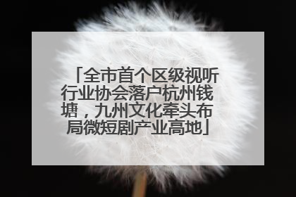 全市首个区级视听行业协会落户杭州钱塘，九州文化牵头布局微短剧产业高地